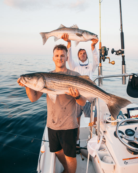Day Time Striped Bass Charter