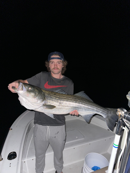 Night Time Striped Bass Charter